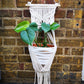 Macrame in white cotton hand made with butterfly design