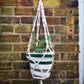 Macrame handmade with white cotton cord