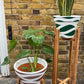 Whisky Barrel Oak Quadrone Leg Plant Pot Stand Hand Made In UK