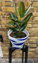 Load image into Gallery viewer, Medium Diagonal Stand hand made in Strong Leg in  Size from 60 to 70cm tall
