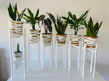 Load image into Gallery viewer, Large Classic Leg Plant Pot Stand in 60 &amp; 70cm Hand Made in UK
