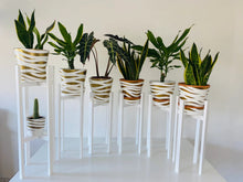 Load image into Gallery viewer, Large Classic Leg Plant Pot Stand in 60 &amp; 70cm Hand Made in UK
