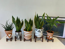 Load image into Gallery viewer, Mini Slim leg Plant Pot Stand Hand made in UK
