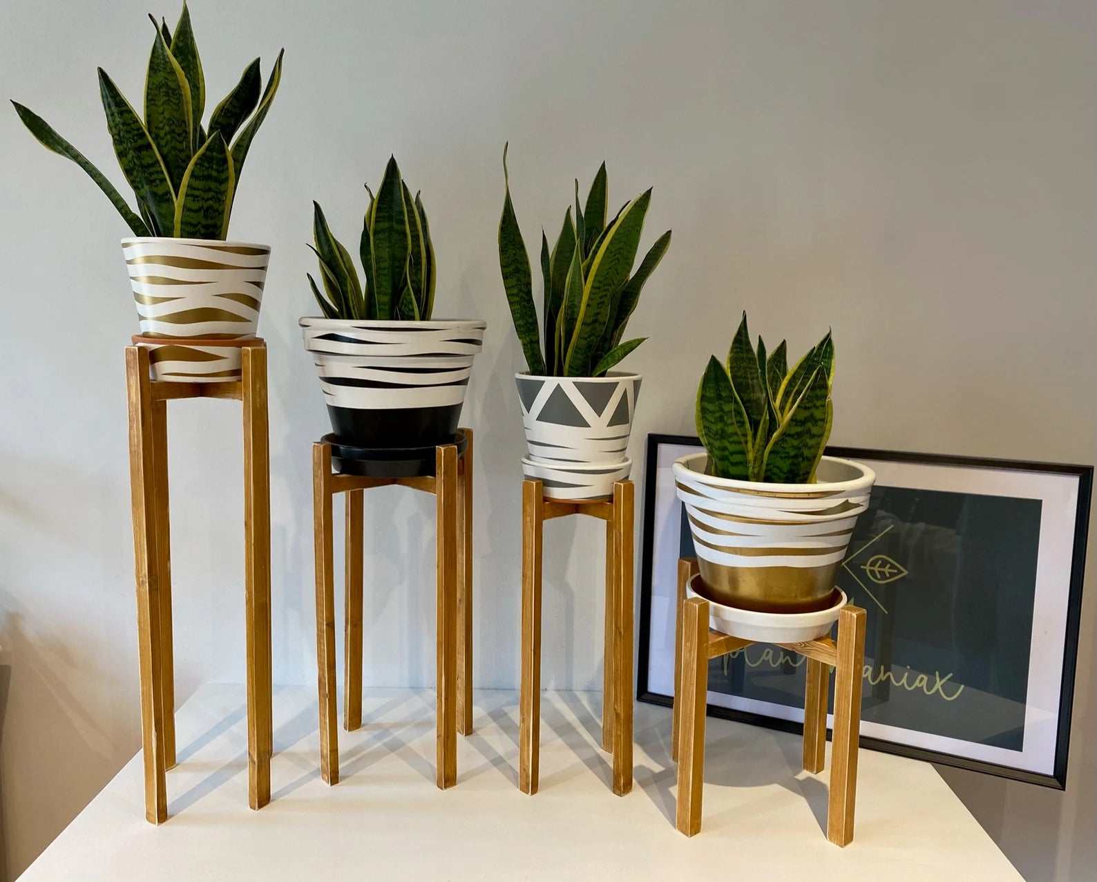 wooden indoor plant stands uk Large Classic Leg Plant Pot Stand in 60 & 70cm Hand Made in UK – Plant_maniax