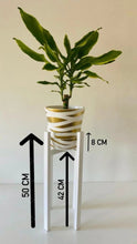 Load image into Gallery viewer, Large Classic Leg Plant Pot Stand in 60 &amp; 70cm Hand Made in UK

