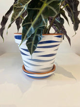 Load image into Gallery viewer, Wide Tiger Design in Blu &amp; Light Grey with Saucer
