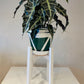Triangles & Waves hand painted Pot