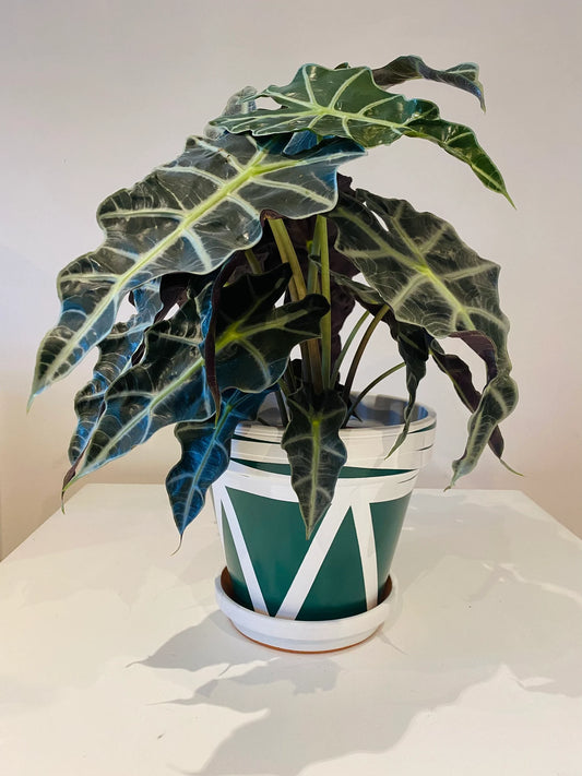 Triangles & Waves hand painted Pot