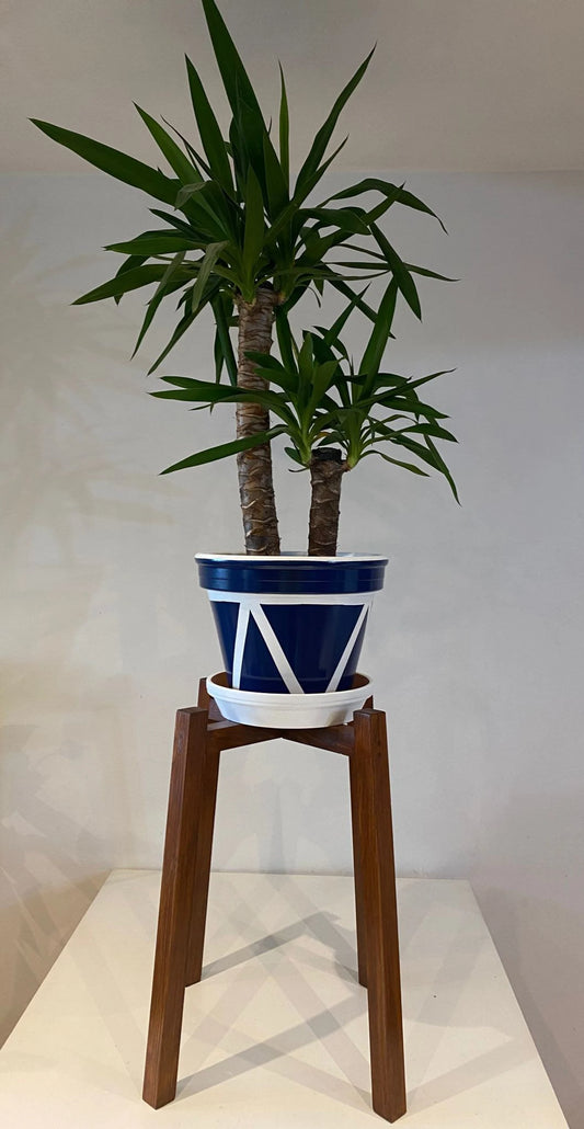 Triangles and Band Pot