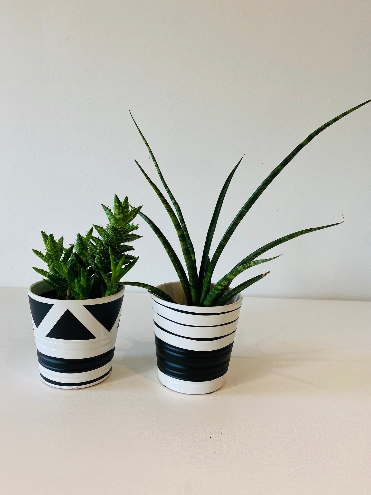 Set of TWO Hand painted pots from Ikea favourites MUSKOTS