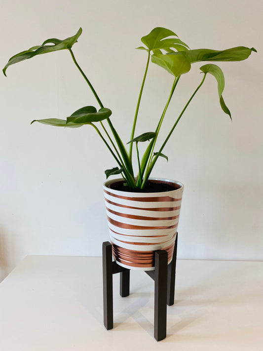 Classic Plant Pot Stand 25 cm Tall With High Tier Hand made in UK