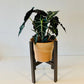 Half Half Plant Pot Stand Classic Leg hand made in UK