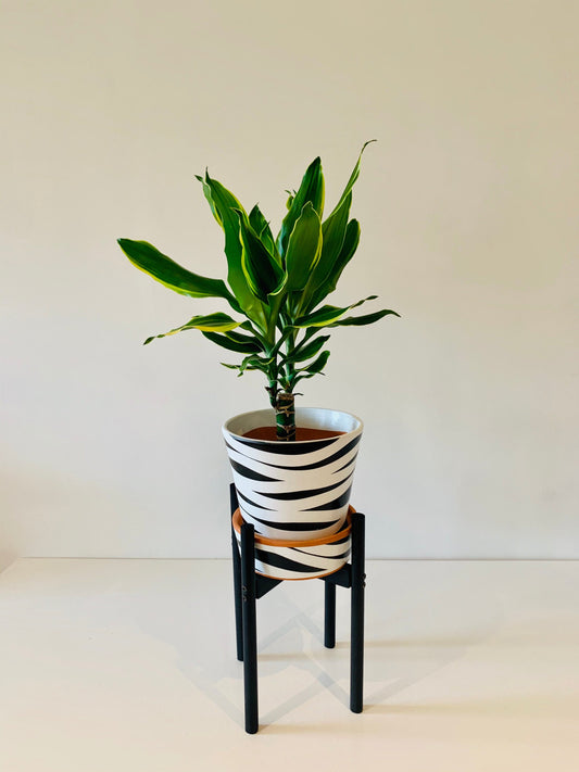 Medium Size in Round Leg Plant Pot Stand from 30cm to 40cm High