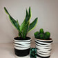 Set of TWO Hand painted pots from Ikea favourites MUSKOTS