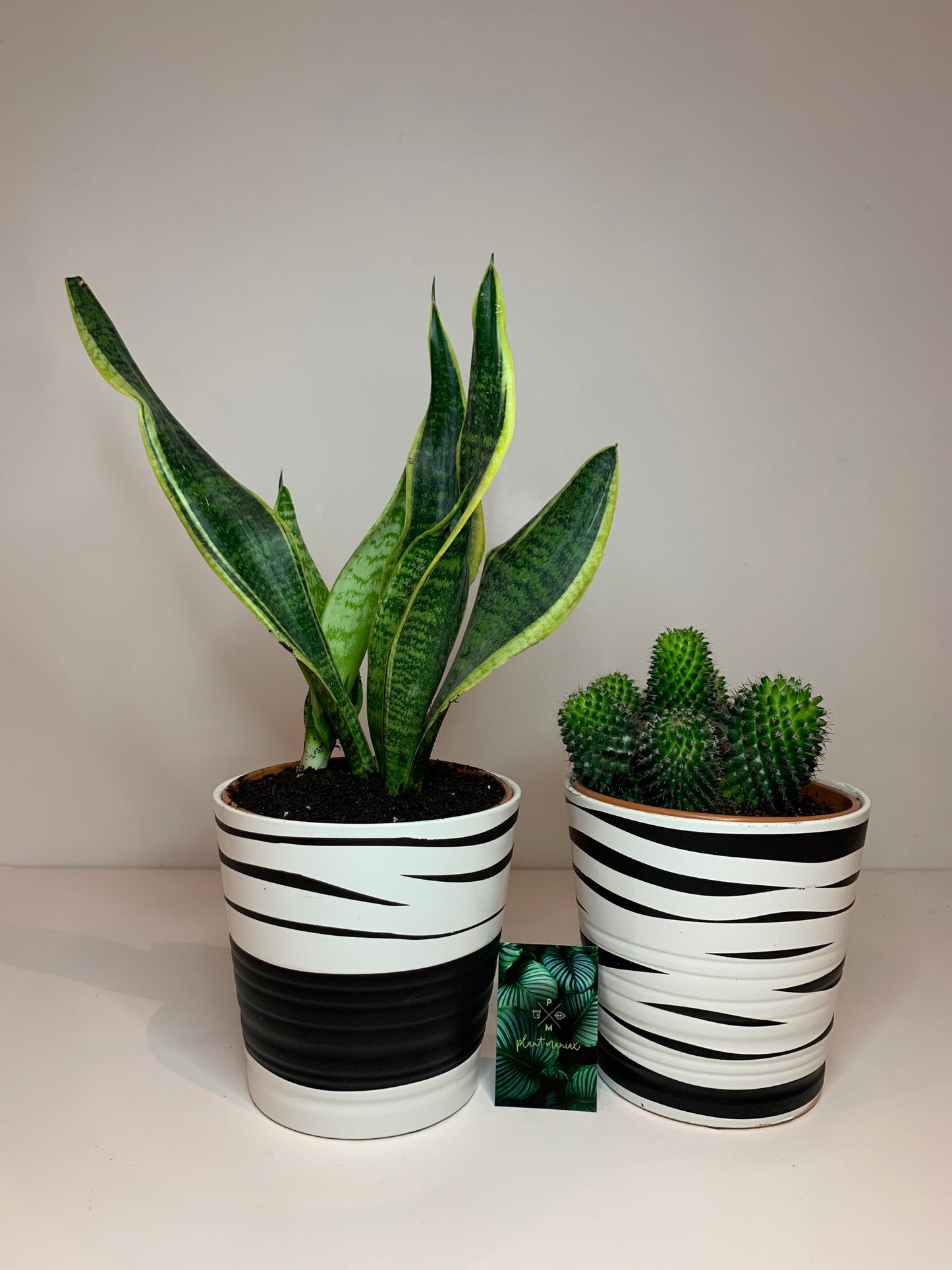 Set of TWO Hand painted pots from Ikea favourites MUSKOTS