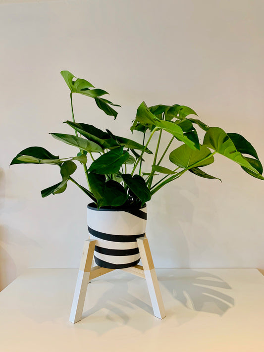 Diagonal Shape Plant Pot Stand 30 cm High in our 33mm Quadrone leg