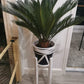 Classic Leg Plant Pot Stand 40cm High Hand made in UK