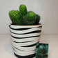 Set of TWO Hand painted pots from Ikea favourites MUSKOTS