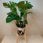 Diagonal Shape Plant Pot Stand 30 cm High in our 33mm Quadrone leg