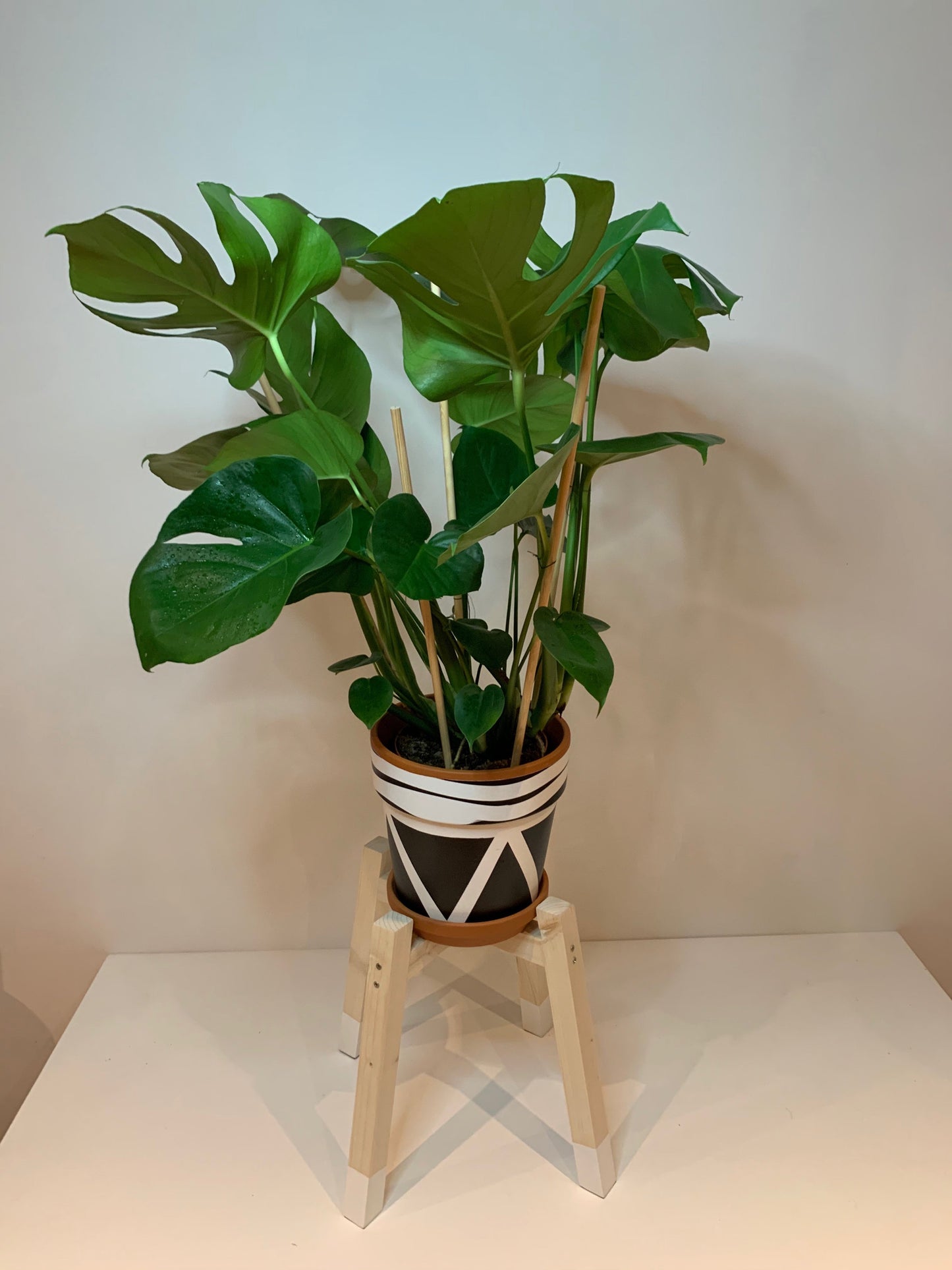 Diagonal Shape Plant Pot Stand 30 cm High in our 33mm Quadrone leg