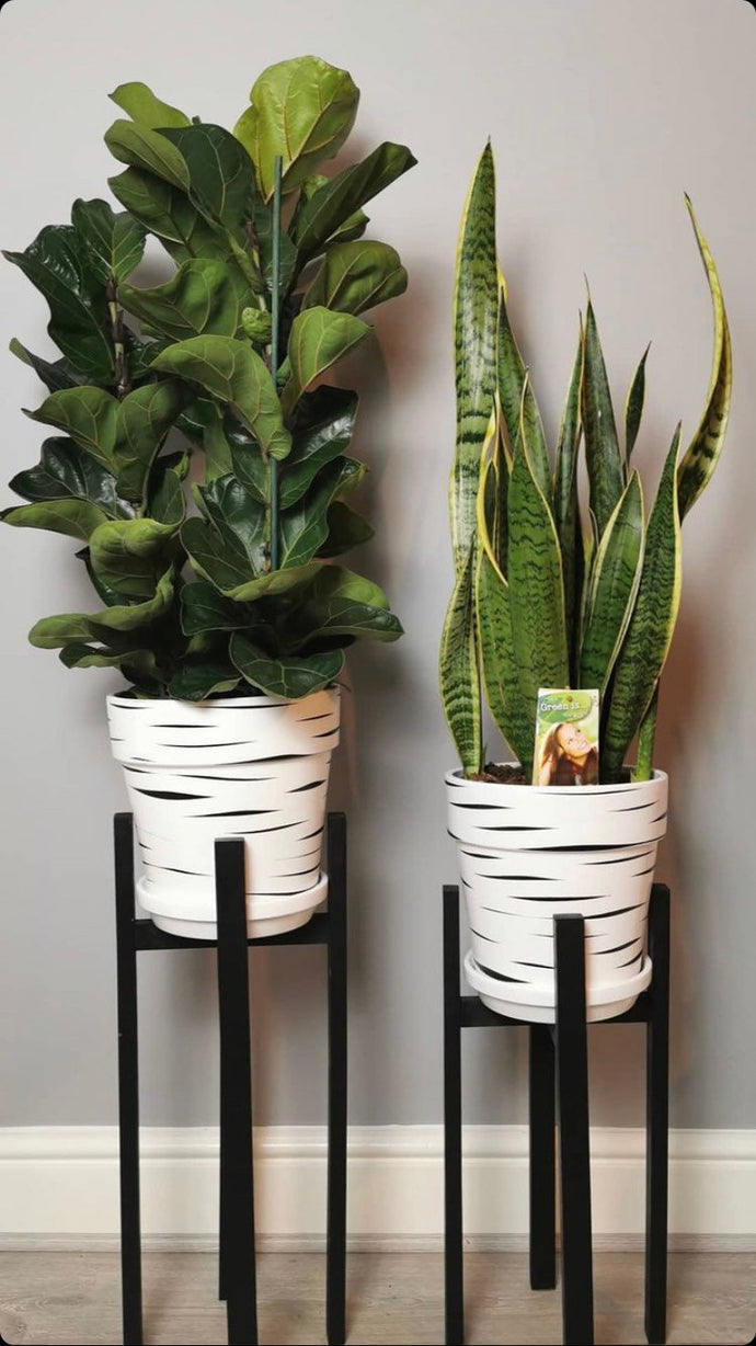 White Tiger Pots