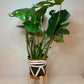 Short Classic Leg Plant Pot Stand 25 to 30cm tall Hand Made