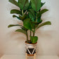 Short Classic Leg Plant Pot Stand 25 to 30cm tall Hand Made