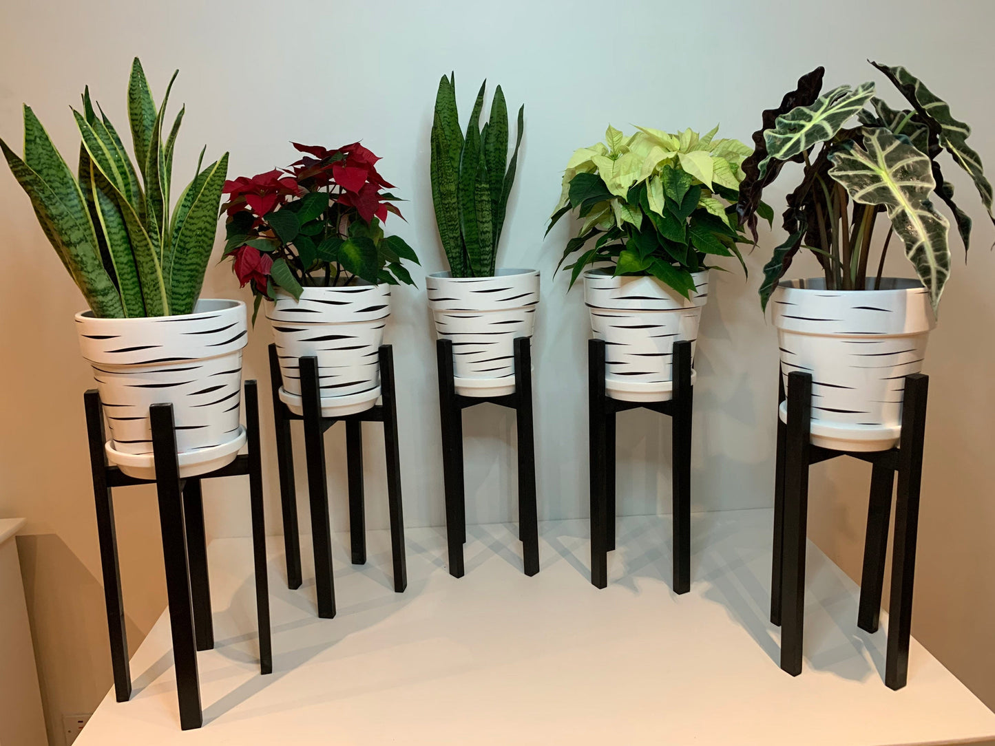 Large Plant Pot Stand in our classic leg 70 and 80 cm Tall Hand made in UK