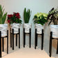 Large Plant Pot Stand in our classic leg 70 and 80 cm Tall Hand made in UK