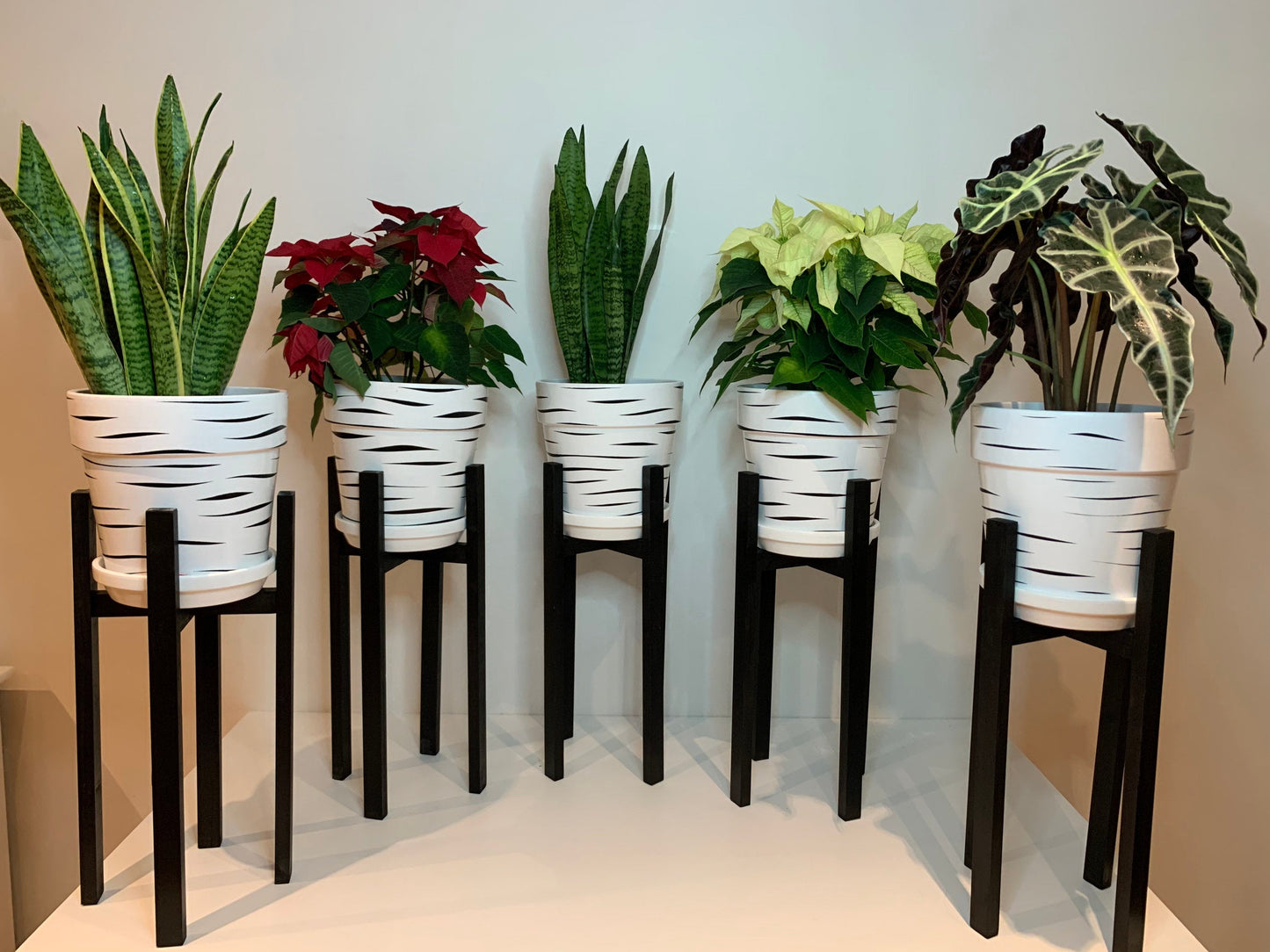 Large Plant Pot Stand in our classic leg 70 and 80 cm Tall Hand made in UK