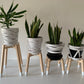 Strong Legs Plant Pot Stand in Diagonal Shape High Tier Hand Made