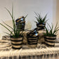 Egyptian Collection plant pots