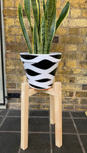 Load image into Gallery viewer, Sansevieria/ Snake Plant/ Mother in law tong plant in two sizes

